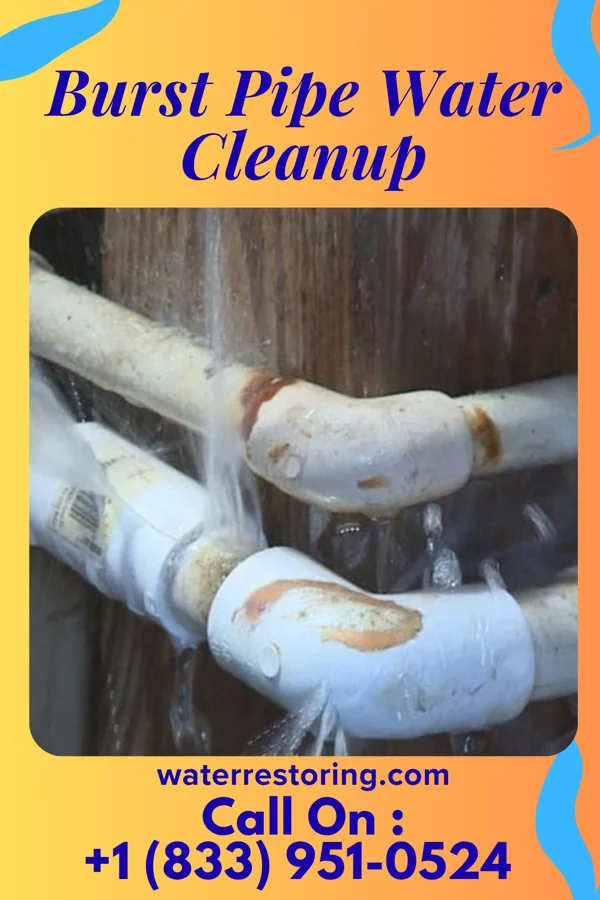 Burst Pipe Water Cleanup in Basin, WY