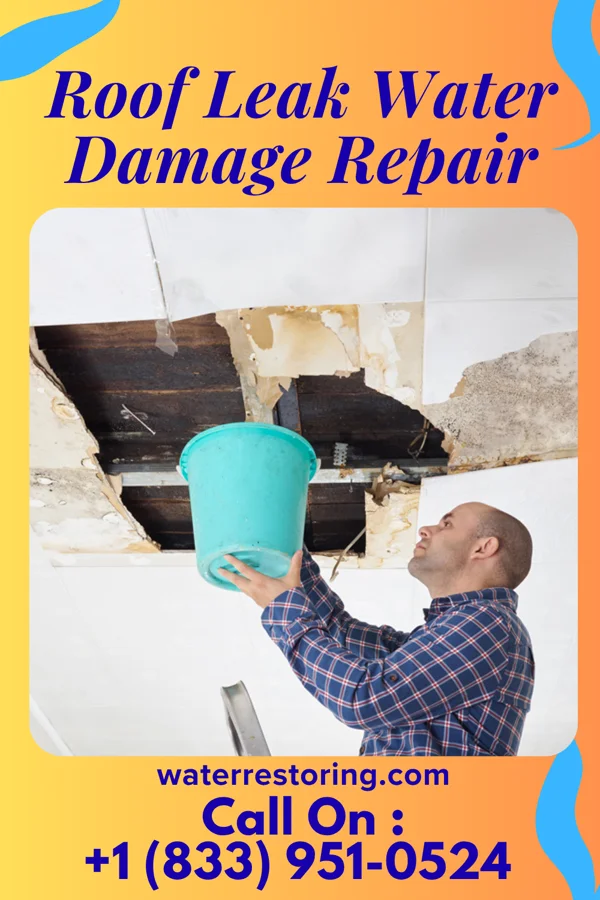Roof Leak Water Damage Repair in Basin, WY