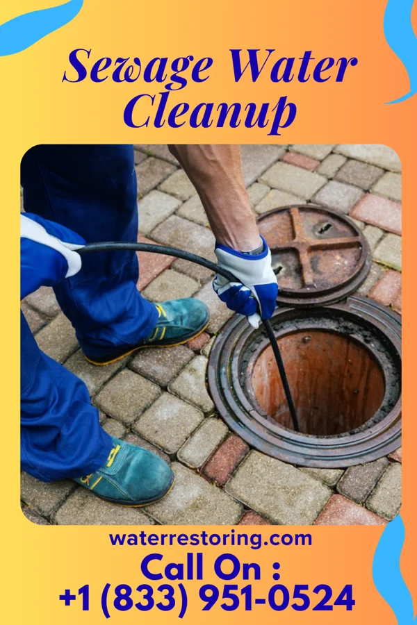 Sewage Water Cleanup in Basin, WY